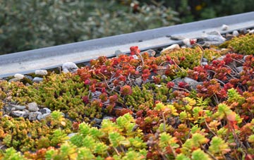 the cost of Blackoe green roof installation