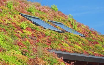Blackoe living roof systems