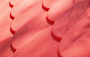 Blackoe plastic roof costs