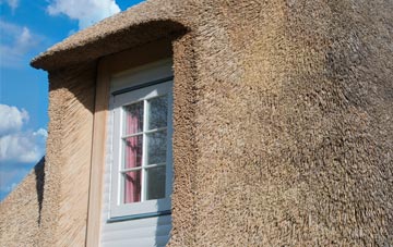 Blackoe thatch roof disadvantages