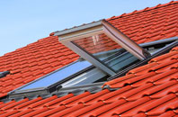Blackoe roof window